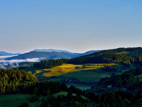 Blick auf die Berge und Wiesen aus der Luft
