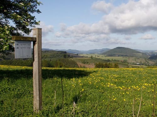 Grüne Wiesen und Berge