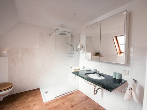 modernes Bad mit Dusche, Spiegel, Waschtisch und WC