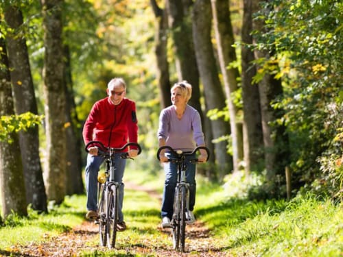 Die Natur mit dem Fahrrad erkunden