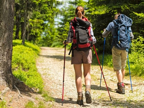 Paar im Wald beim wandern