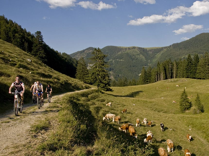 Landschaft von Halfing in Bayern