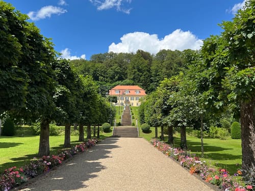 Baumallee mit angrenzendem Park