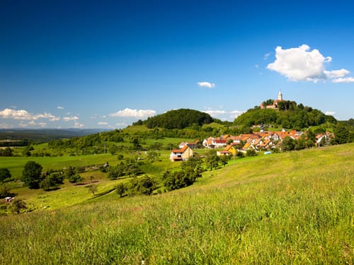 Landschaft mit grünen Wiesen im Thüringer Wald