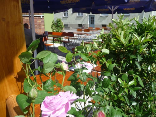 Blumen im Biergarten