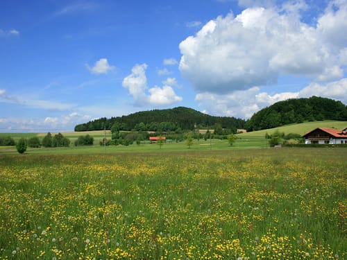 Umgebung im Bayerischen Wald