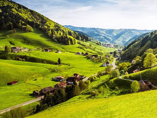 Blick auf den schönen Schwarzwald