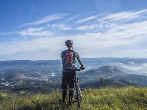 Blick auf den Schwarzwald und Umgebung