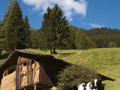 Umgebung von Ratschings mit einer Almhütte