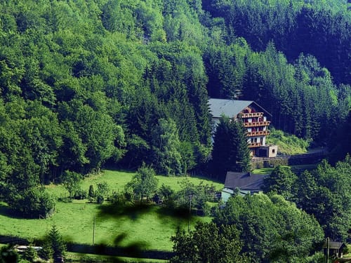 Hotel mitten im Wald in der Eifel