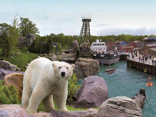 Eisbär im Vordergrund im Zoo Hannover