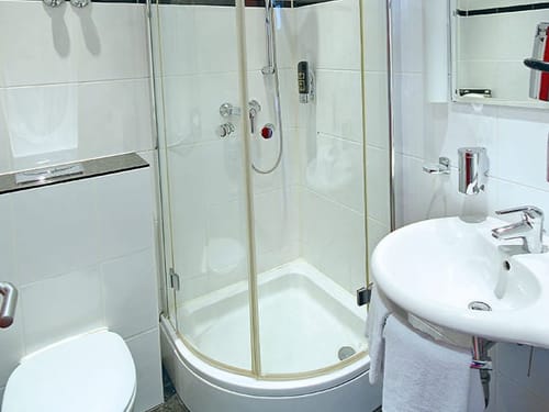 Badbereich mit Dusche, WC, Waschtisch und Wandspiegel