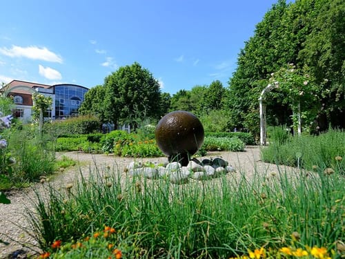 Viele verschiedene Kräuter im Kräutergarten