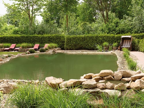 Großer Schwimmteich mit Liegen