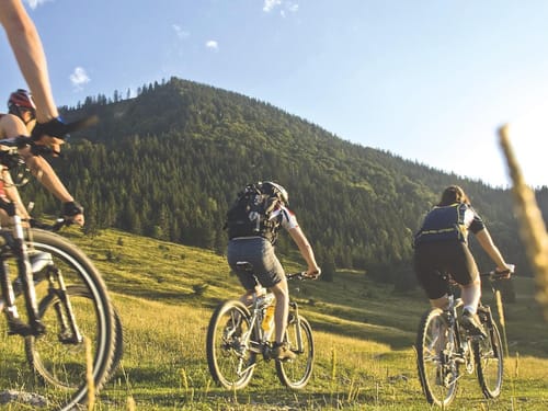 Mountainbiker im bei Sonnenschein im Schwarzwald