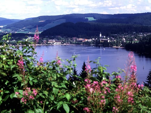 Umgebung