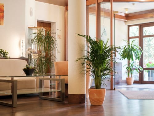 Elegantes und modernes Wohnzimmer mit Glas-Couchtisch und Zimmerpflanzen.