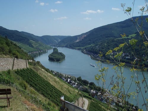 Blick auf den Rhein