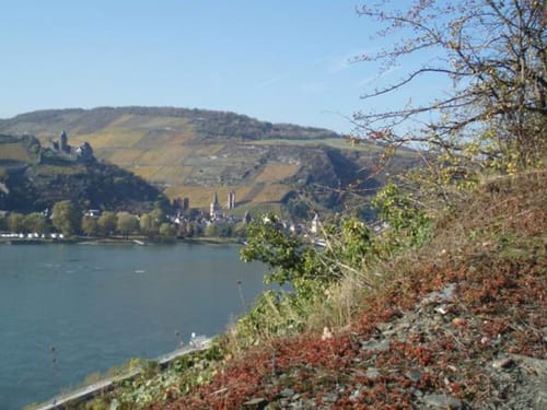 Fahrrine des Rheins in Lorchhausen