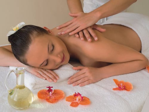 Wellness01