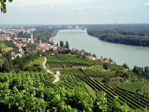 fanstastischer Blick auf die Donau