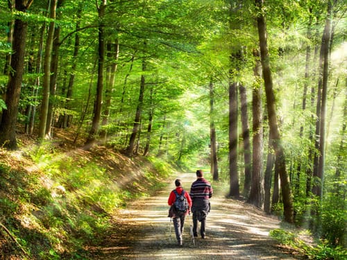 Paar bei einer Wanderung in der Natur