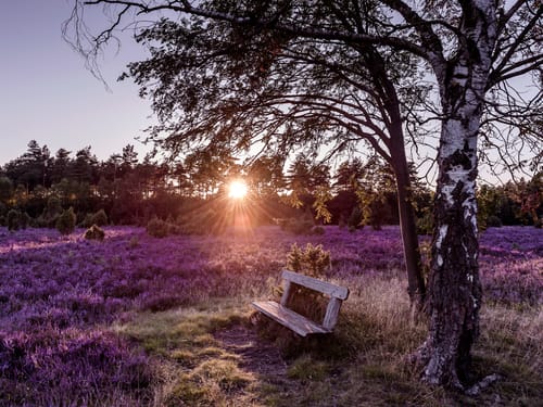 Sonnenuntergang