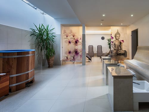 Wellness
