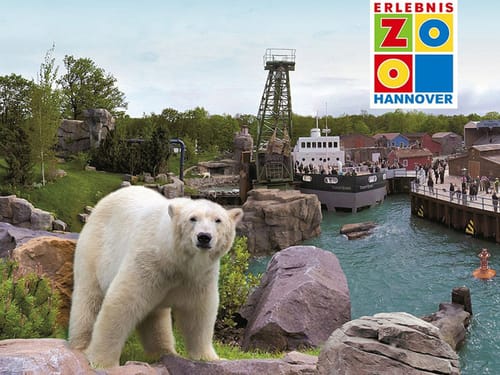 Zoo