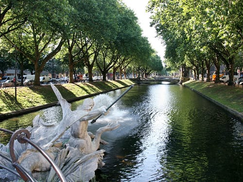 Koe von Düsseldorf
