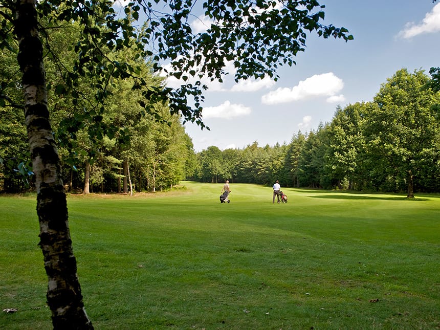 Golf-neu01