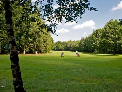 Golf-neu01