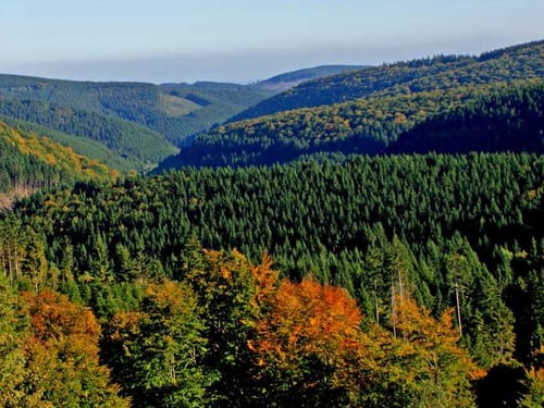 Ansicht des Rothaargebirges