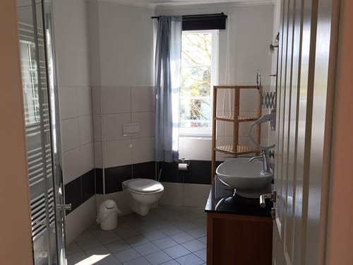 Badbereich mit Dusche, WC und Waschtisch