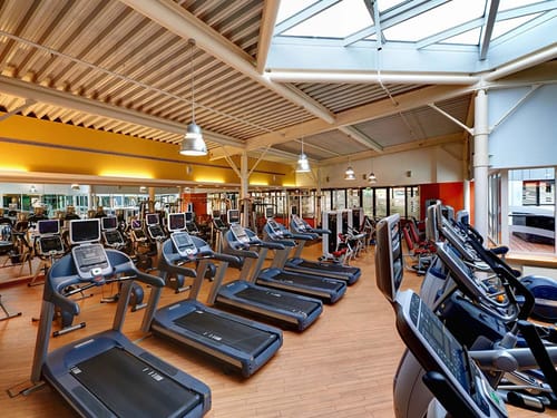 Kardio und Kraftgeräte im Fitnessbereich