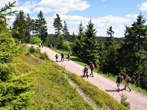 Wanderer im Thüringer Wald bei Sonnenschein