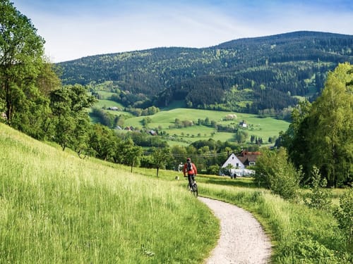 Fahrradfahrer auf einem Weg