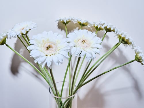Blumen in einer Vase