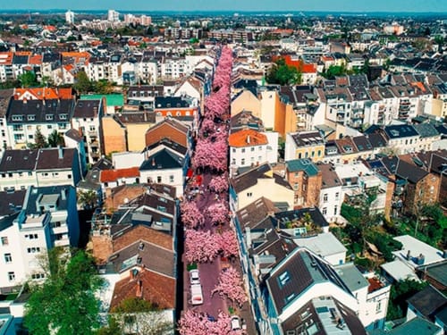 Bonn per Luftaufnahme
