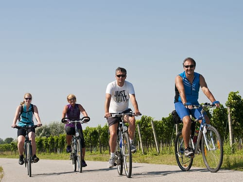 vier Radfahrer bei Sonnenschein
