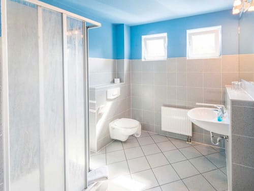 Bad mit Dusche, WC, Waschtisch und Wandspiegel