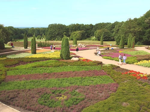 Lueneburgerheide-01
