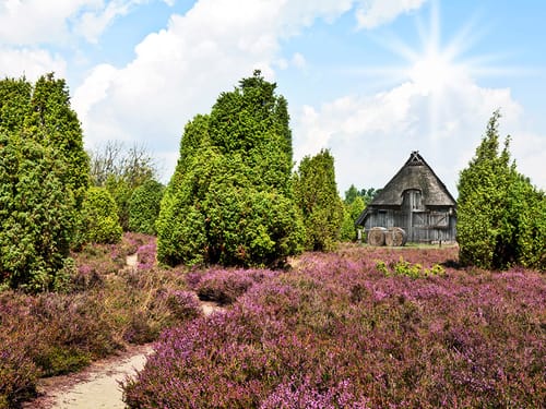 Umgebung der Lüneburger Heide