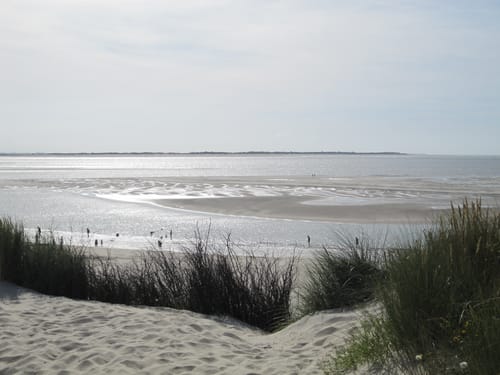 Weitläufiger Sandstrand mit Wasser und Dünen im Vordergrund.
