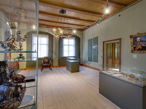 Ausstellungsraum in einem historischen Museum mit Vitrinen und antiken Exponaten.