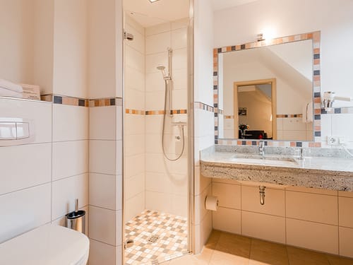 Bad mit Dusche, WC, Waschtisch und Wandspiegel