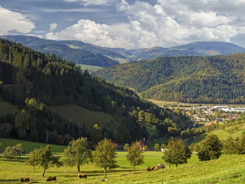 Umgebung des Hochschwarzwaldes