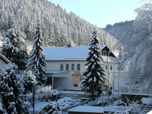 Aussenansicht im Winter direkt am Wald gelegen