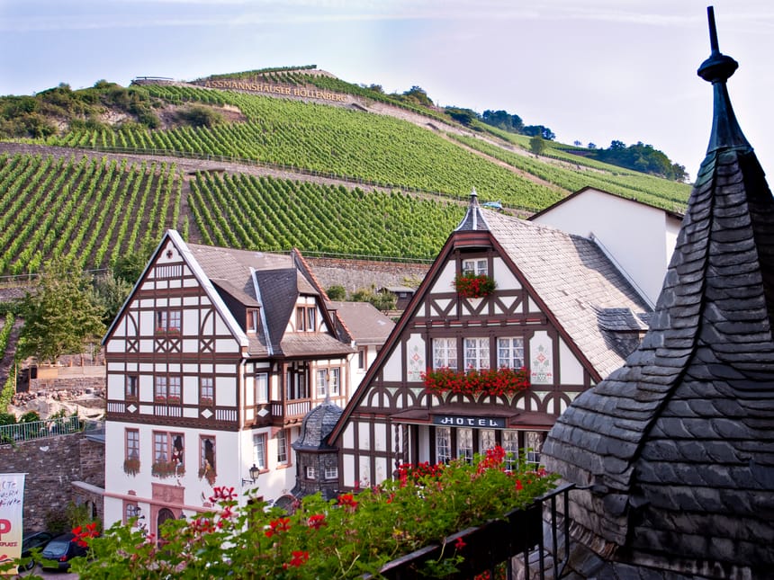 Ansicht Hotel mit Weinberg im Hintergrund