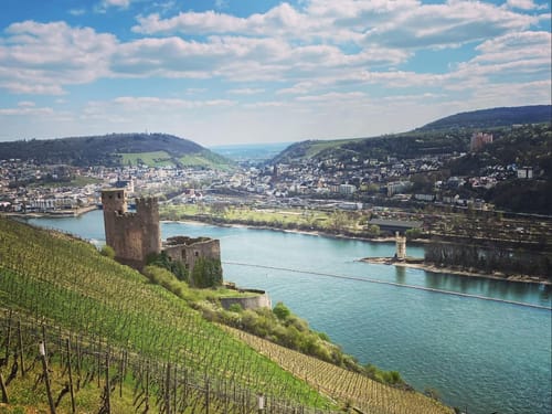 Blick auf Rüdesheim